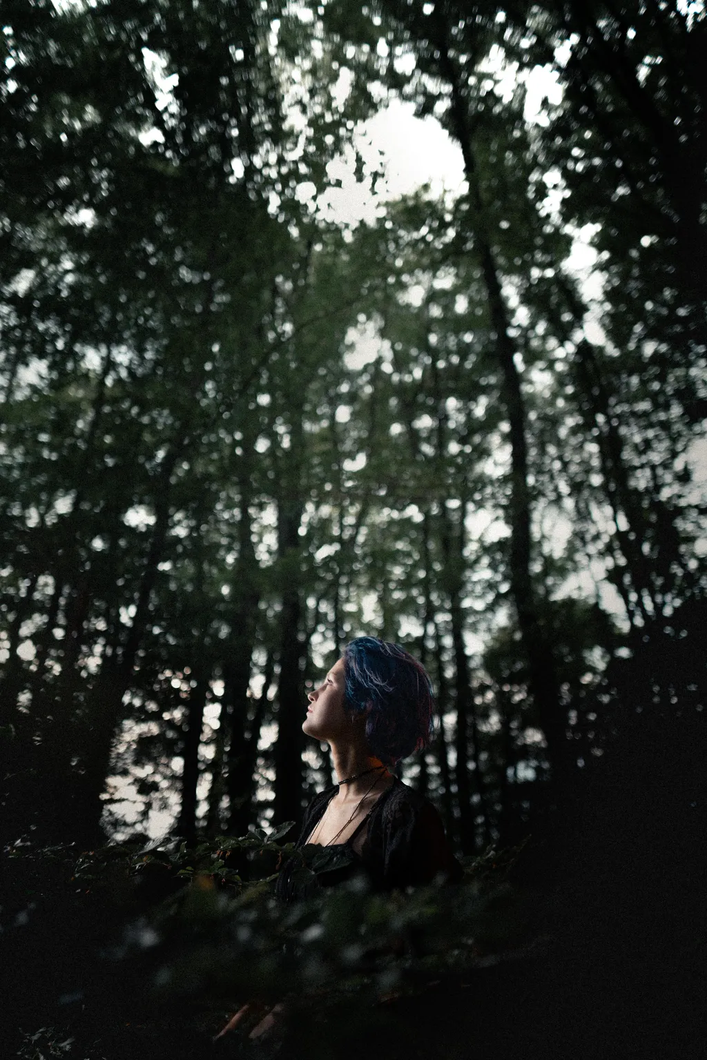 Woman gazing upward through towering forest trees in a cinematic Luxembourg outdoor portrait