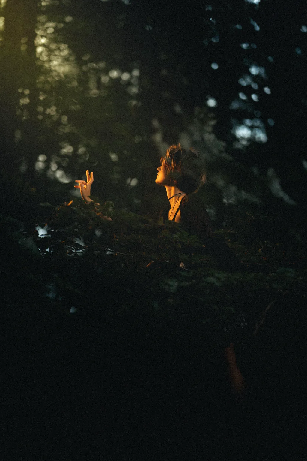 Distant figure of a woman reaching out across a shadowy forest floor lit by warm light, Luxembourg