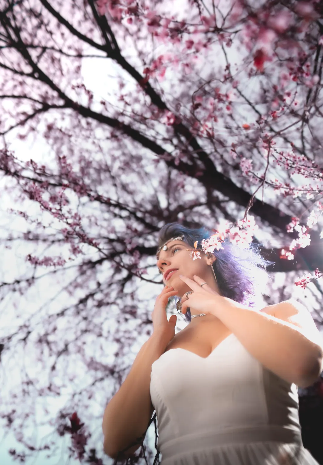 Upward Luxembourg portrait of a woman beneath a sprawling cherry-blossom tree against a pale spring sky